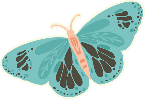 transparent background teal butterfly with spread wings illustration - Download Free Stock Videos Pikwizard.com