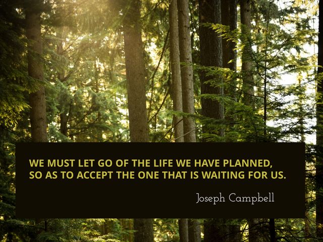 Inspirational Quote Against Serene Forest Backdrop Evoking New Beginnings - Download Free Stock Templates Pikwizard.com