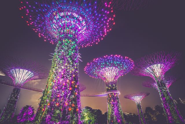 Stunning illuminated trees with vibrant, colorful lights in a futuristic garden at night. Perfect for illustrations of modern architecture, technological advancements in landscaping, outdoor light design inspiration, or vibrant nighttime cityscapes.