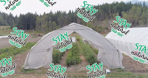 Eco-Friendly Gardening in Organic Greenhouse