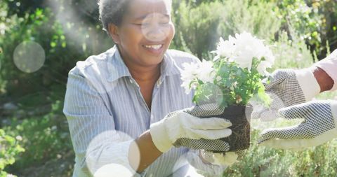 Senior Couple Joyfully Gardening Together