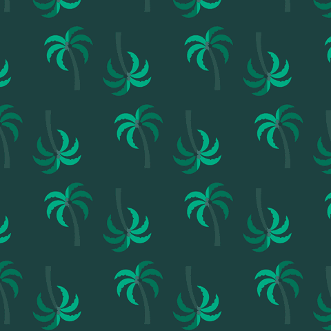 pattern of green coconut trees on transparent background - Download Free Stock Videos Pikwizard.com