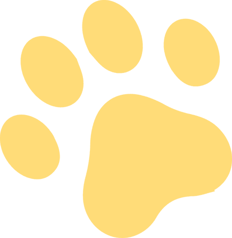 Stylized Yellow Paw Print Icon on Transparent Background - Download Free Stock Videos Pikwizard.com