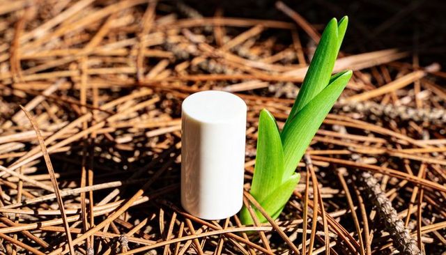 Minimal white cylinder canister beside green sprout on pine-needle floor with sunlight shadows