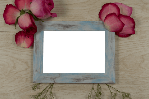 empty wooden frame surrounded by fresh rose petals - Download Free Stock Videos Pikwizard.com