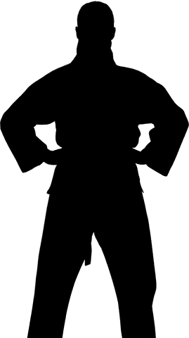 transparent silhouette of martial arts fighter digital png - Download Free Stock Videos Pikwizard.com