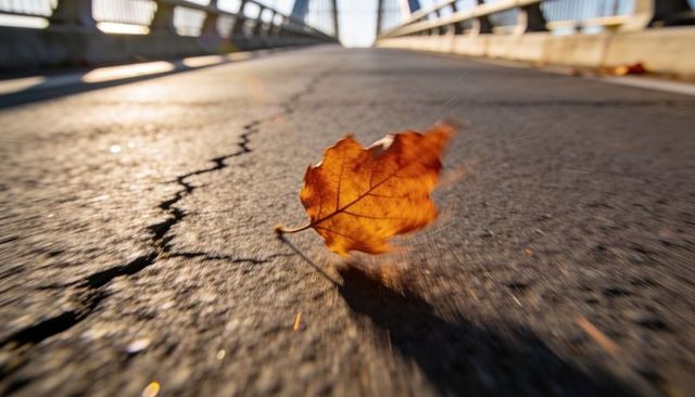 Sunlit maple leaf drifting across cracked bridge asphalt with warm backlit autumn motion