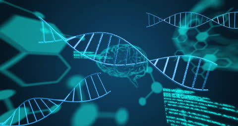 Animated DNA Strands with Brain and Data in Background