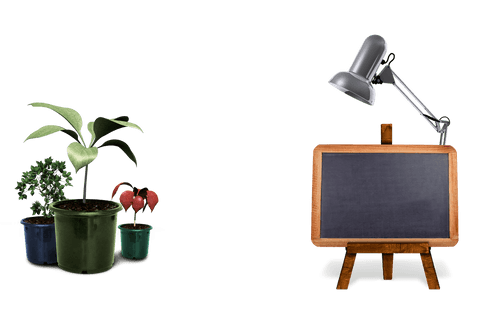 transparent blackboard with potted plants and desk lamp setup - Download Free Stock Videos Pikwizard.com