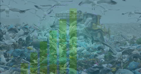 Data Processing Visualization at Rubbish Dump