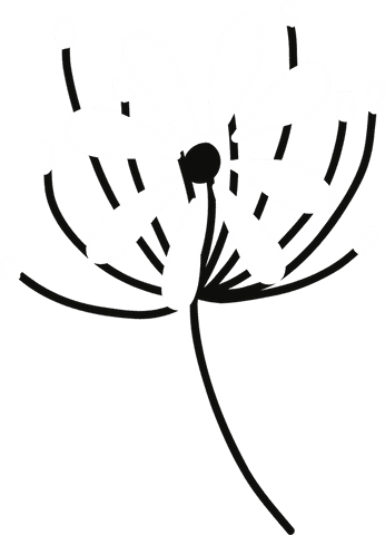 Minimalist Transparent Black and White Stylized Flower Design