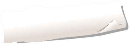 Torn curled paper ribbon with transparent effect