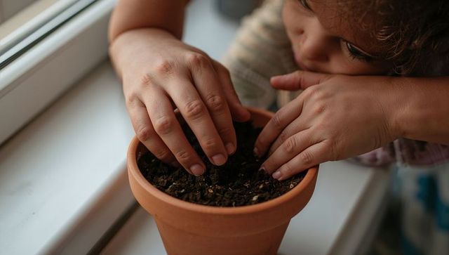 Close-up hands planting seeds on sunlit windowsill with terracotta pot and cozy knit sweater