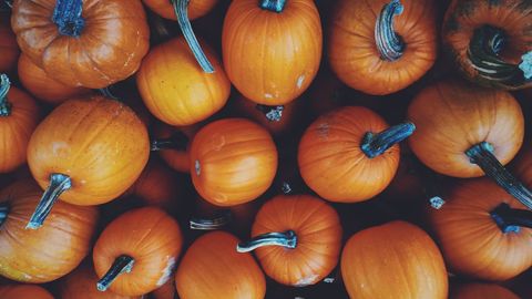 Pile of bright orange pumpkins in autumn harvest