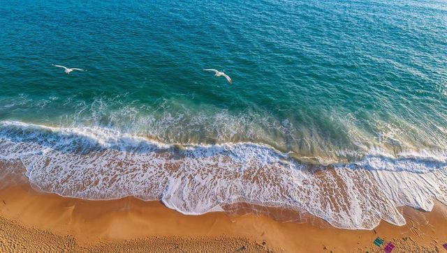 Aerial turquoise surf with two gliding gulls over golden sand, waves, footprints, towels