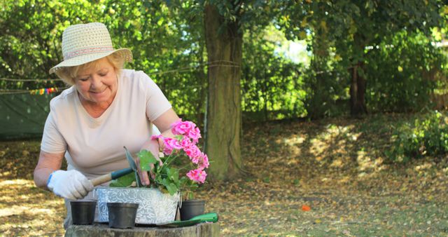 Senior Woman Gardening Outside on a Sunny Day - Download Free Stock Images Pikwizard.com