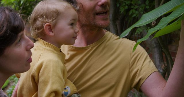 Family Exploring Nature with Young Child - Download Free Stock Images Pikwizard.com