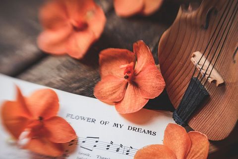 Romantic still life with violin and orange orchids
