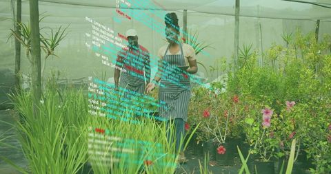 Nursery workers walking, inspecting potted plants in shade house with digital code overlay