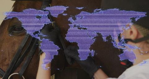 Horse handlers adjusting tack with digital world map projection