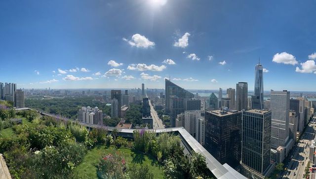 Elevated Urban Garden with Cityscape Background Under Bright Sky