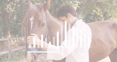 Veterinarian bonding with brown horse in paddock, stethoscope check and analytics overlay
