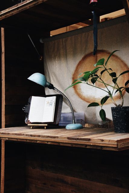 Workspace features open book on wooden desk with vintage desk lamp. Potted plant adds touch of nature, enhancing cozy and rustic ambiance. Ideal for articles on home decor ideas, study environment tips, and creating comfortable workspaces.