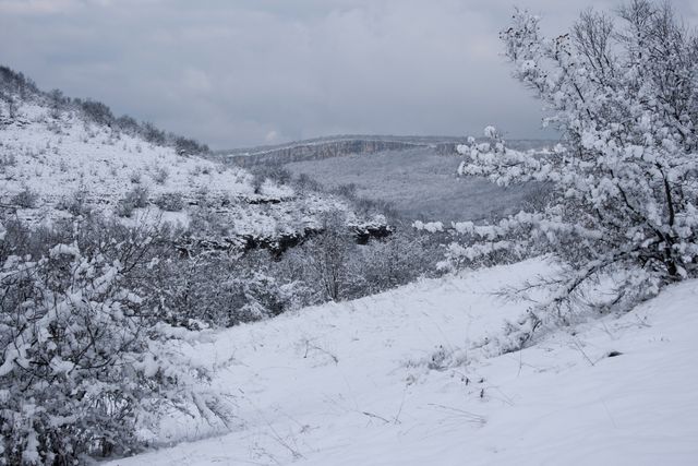 Snow-covered mountains and hills are blanketed in fresh snow, creating a serene and tranquil winter scene. Trees and bushes are frosted with snow, while a cloudy, overcast sky adds to the peaceful atmosphere. This image is perfect for use in seasonal promotions, travel advertisements, and outdoor adventure marketing materials.