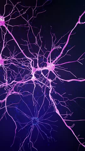 Shifting Neuron Wave Activating Pink Dendrites in Vertical Neuroscience Visualization