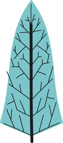 Turquoise leaf icon with black branching veins on transparent