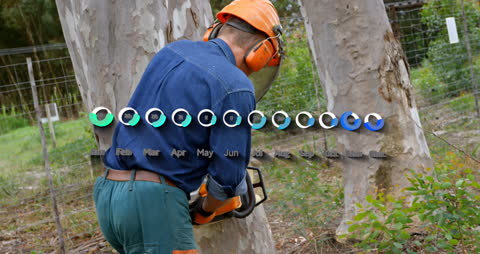 Lumberjack Using Chainsaw with Digital Data Overlay