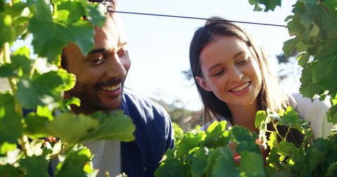 Happy Diverse Couple Enjoying Time Together in Vineyard - Download Free Stock Images Pikwizard.com