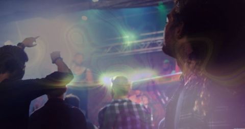 Energetic Crowd Enjoying Live Music at Concert Venue