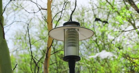 Minimalist frosted glass garden lantern on black pole surrounded by spring leaves