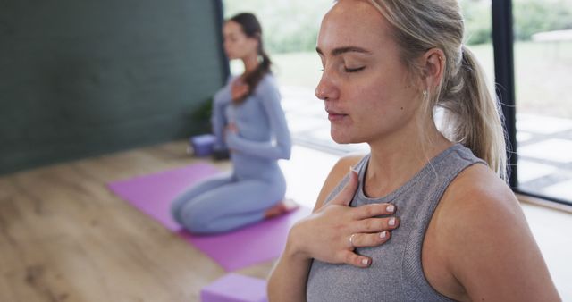 Women Meditating on Yoga Mats in Wellness Center - Download Free Stock Images Pikwizard.com