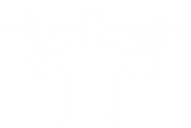 Transparent Silhouette of Male Weightlifting with Barbell - Download Free Stock Videos Pikwizard.com