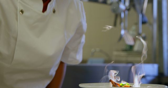 Professional Chef Plating Hot Entree in Gourmet Kitchen - Download Free Stock Images Pikwizard.com