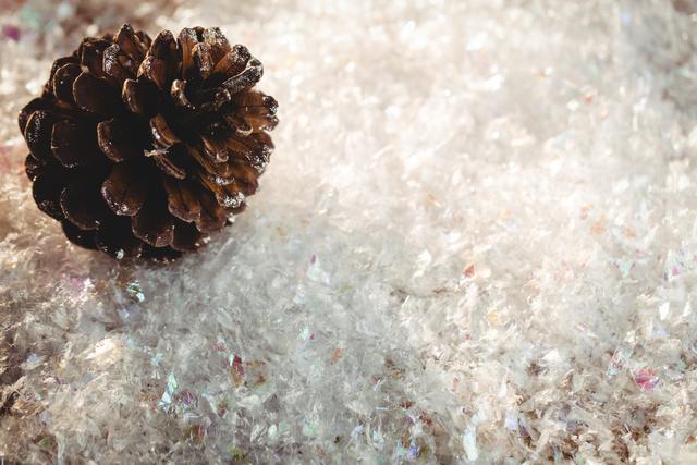 Pine cone resting on sparkling fake snow, perfect for Christmas and holiday-themed projects. Ideal for greeting cards, festive advertisements, and winter decoration ideas.