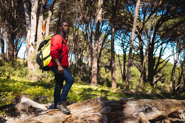 African American man standing on a tree trunk in a forest, wearing a red jacket and carrying a backpack. Ideal for use in travel blogs, adventure magazines, outdoor activity promotions, and nature exploration content.