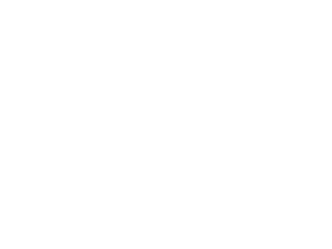 Mathematical Illustrated Formula on Transparent Grid Background - Download Free Stock Videos Pikwizard.com