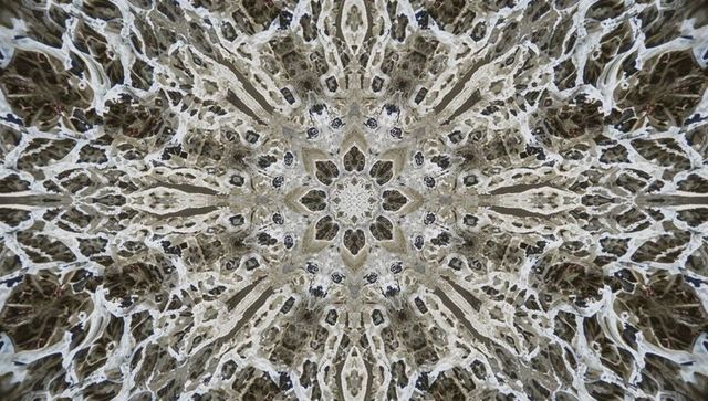 Radiating radial kaleidoscopic mandala with stone texture and rosette motif