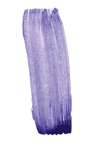 hand painted purple brushstroke isolated on transparent background - Download Free Stock Videos Pikwizard.com