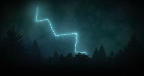 Dramatic lightning bolt illuminates forest at night