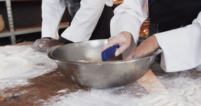 Bakers kneading dough in professional kitchen - Download Free Stock Images Pikwizard.com