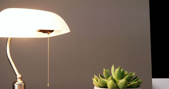 A classic table lamp illuminates the space next to a green succulent plant, with copy space. The warm lighting creates a cozy atmosphere, ideal for interior design themes.