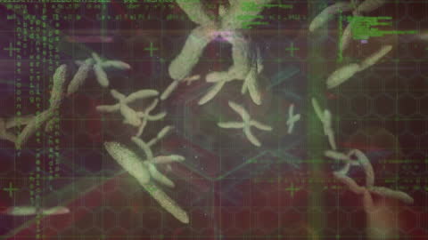 Microscopic View of Covid Cells with Global Overlay