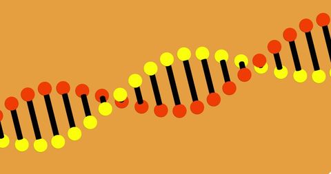 Colorful dna strand on orange background