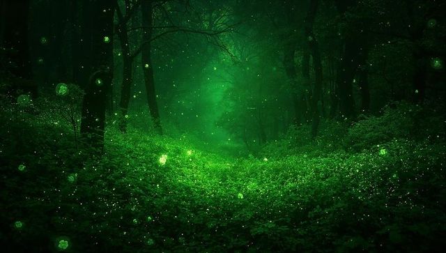 Mystical Green Bioluminescent Forest Clearing with Glowing Moss, Floating Orbs, Misty Path