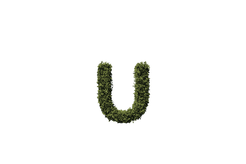 Leafy Green Letter U on Transparent Background Illustration - Download Free Stock Videos Pikwizard.com