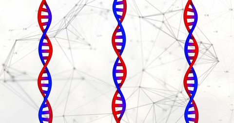 Colorful DNA Strands on White with Digital Elements - Download Free Stock Images Pikwizard.com